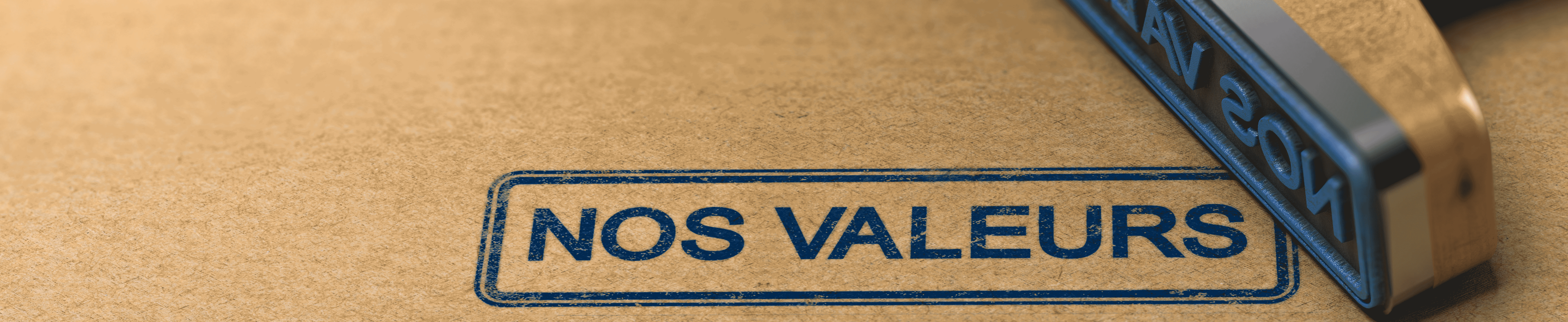 nos-valeurs-4a.png - 2.04 MB